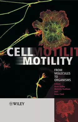 Cell Motility, Peter Clark