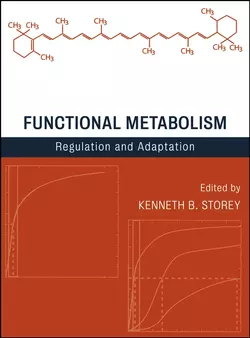 Functional Metabolism 