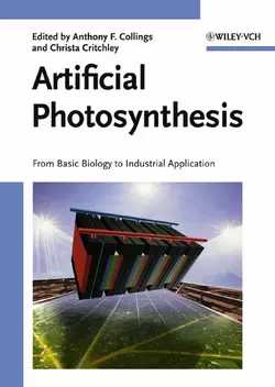 Artificial Photosynthesis, Christa Critchley