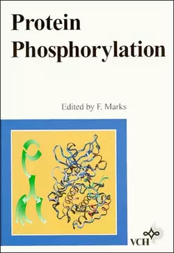 Protein Phosphorylation 