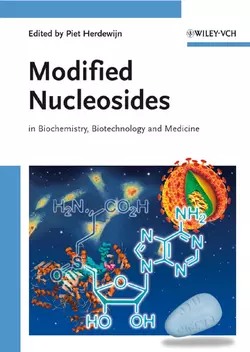 Modified Nucleosides 