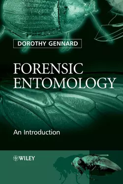 Forensic Entomology 