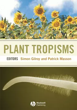 Plant Tropisms, Simon Gilroy