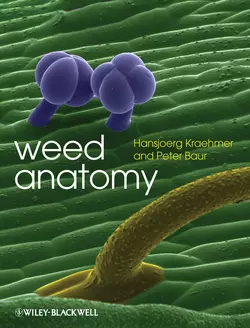 Weed Anatomy, Hansjoerg Kraehmer