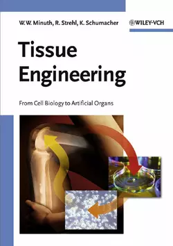 Tissue Engineering, Raimund Strehl