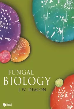 Fungal Biology 