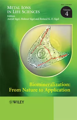 Biomineralization, Helmut Sigel