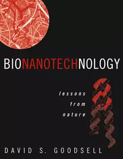 Bionanotechnology 