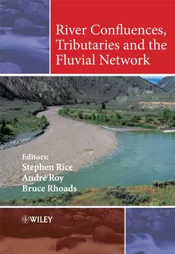 River Confluences, Tributaries and the Fluvial Network, Andre Roy