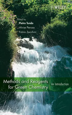 Methods and Reagents for Green Chemistry, Pietro Tundo