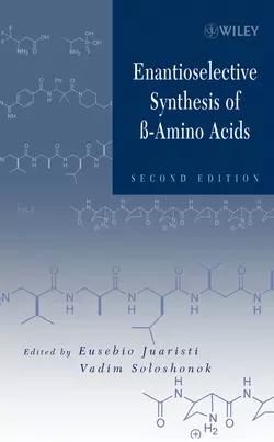 Enantioselective Synthesis of Beta-Amino Acids, Eusebio Juaristi