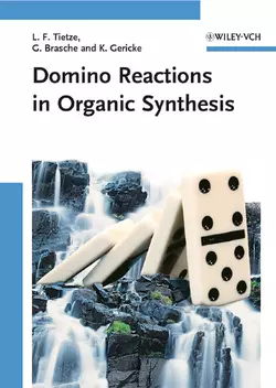 Domino Reactions in Organic Synthesis, Gordon Brasche