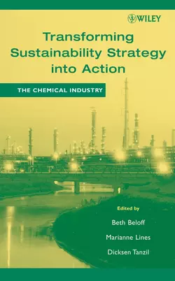 Transforming Sustainability Strategy into Action, Beth Beloff