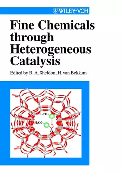 Fine Chemicals through Heterogeneous Catalysis, Herman Bekkum