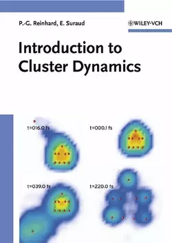 Introduction to Cluster Dynamics, Paul-Gerhard Reinhard