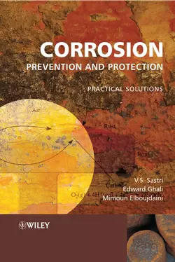 Corrosion Prevention and Protection, Edward Ghali