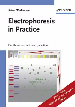 Electrophoresis in Practice 