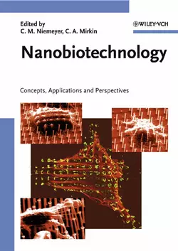 Nanobiotechnology, Chad Mirkin