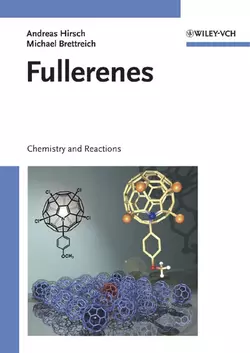 Fullerenes, Andreas Hirsch