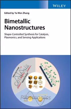 Bimetallic Nanostructures 