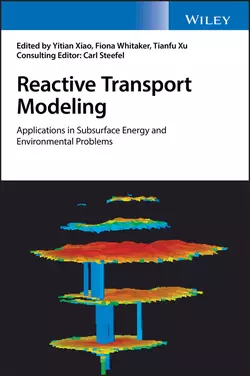 Reactive Transport Modeling, Yitian Xiao