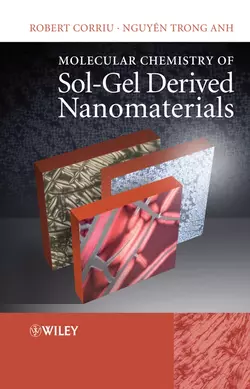 Molecular Chemistry of Sol-Gel Derived Nanomaterials, Robert Corriu