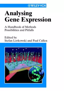 Analysing Gene Expression, A Handbook of Methods, Stefan Lorkowski