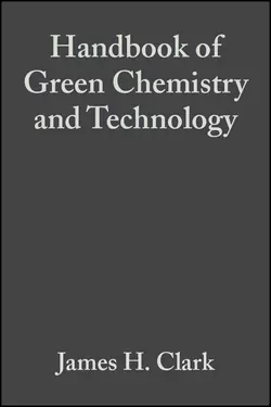 Handbook of Green Chemistry and Technology, James Clark