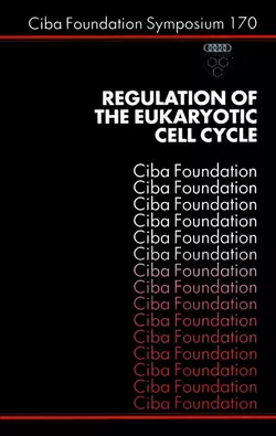 Regulation of the Eukaryotic Cell Cycle 