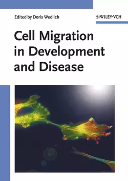 Cell Migration in Development and Disease 