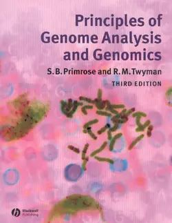 Principles of Genome Analysis and Genomics Richard Twyman и Sandy Primrose