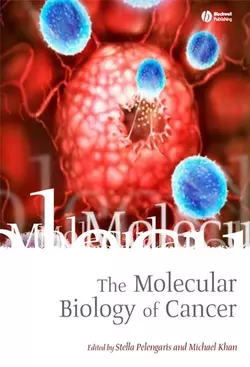 The Molecular Biology of Cancer, Stella Pelengaris