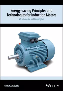 Energy-saving Principles and Technologies for Induction Motors Wenzhong Ma и Lianping Bai