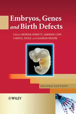 Embryos, Genes and Birth Defects, Patrizia Ferretti