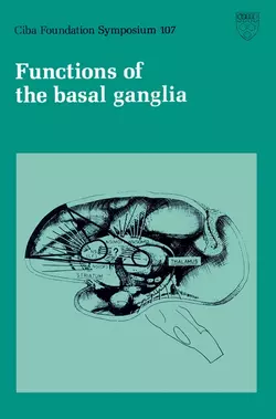 Functions of the Basal Ganglia, Maeve OConnor