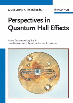 Perspectives in Quantum Hall Effects, Aron Pinczuk