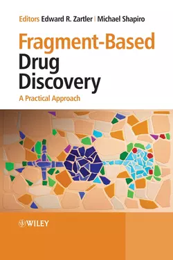 Fragment-Based Drug Discovery, Michael Shapiro