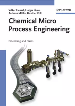 Chemical Micro Process Engineering, Volker Hessel