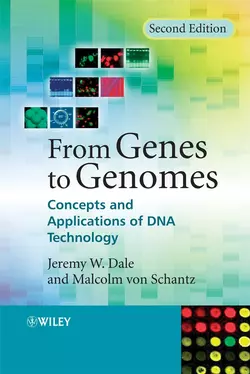 From Genes to Genomes Jeremy Dale и Malcolm Schantz