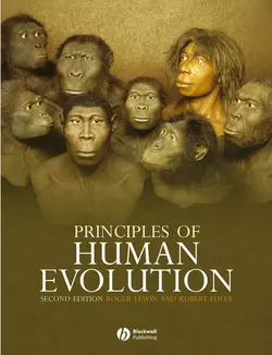 Principles of Human Evolution, Roger Lewin