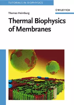 Thermal Biophysics of Membranes, Thomas Heimburg