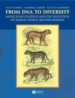 From DNA to Diversity, Jennifer Grenier