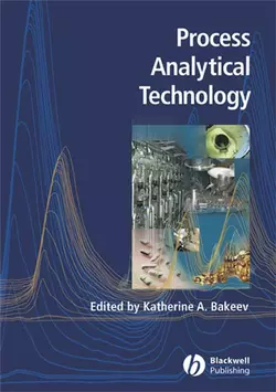 Process Analytical Technology, Katherine Bakeev