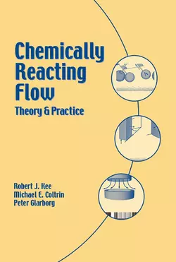 Chemically Reacting Flow, Peter Glarborg