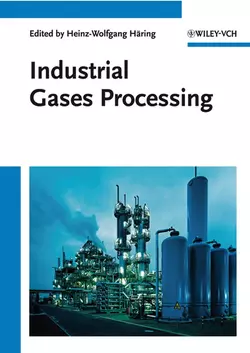 Industrial Gases Processing, Christine Ahner