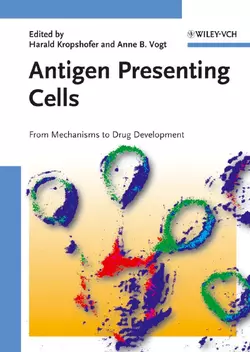 Antigen Presenting Cells, Harald Kropshofer