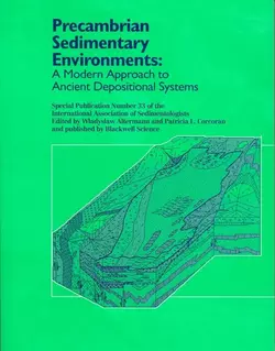 Precambrian Sedimentary Environments, Wladyslaw Altermann