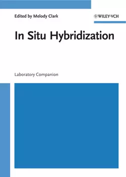 In Situ Hybridization, Melody Clark