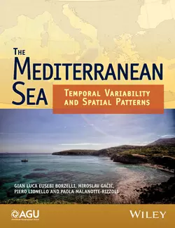 The Mediterranean Sea, Paola Malanotte-Rizzoli