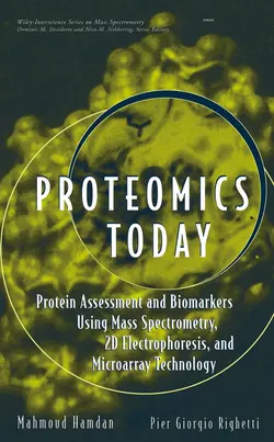 Proteomics Today, Mahmoud Hamdan